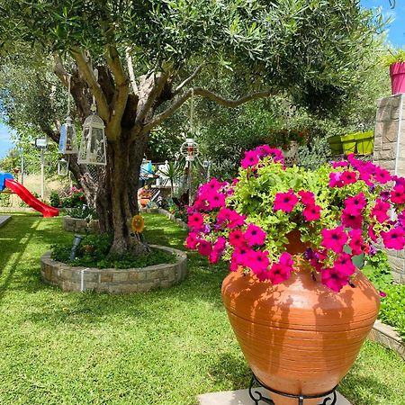 Backyard Houses Toroni Extérieur photo