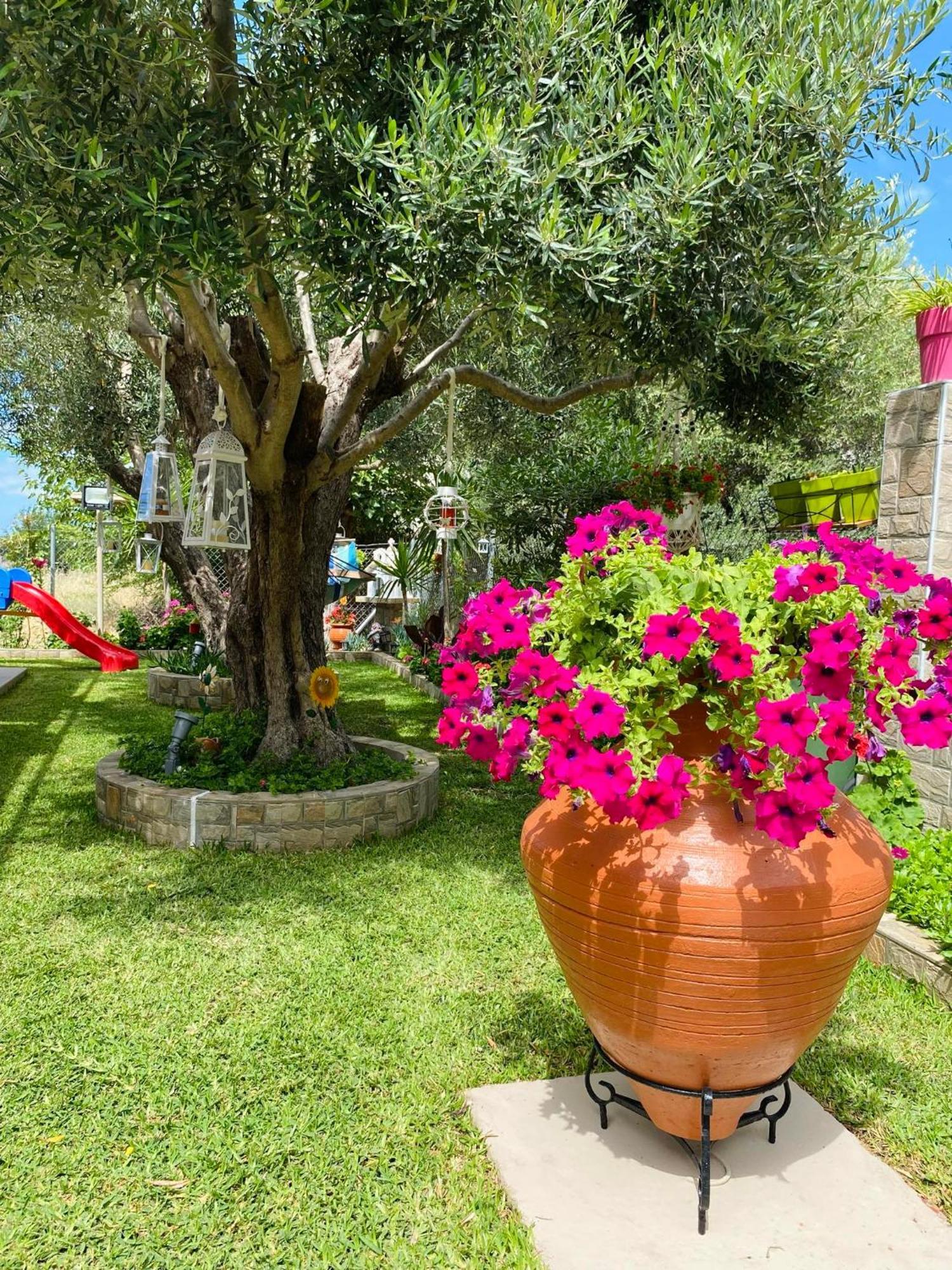 Backyard Houses Toroni Extérieur photo